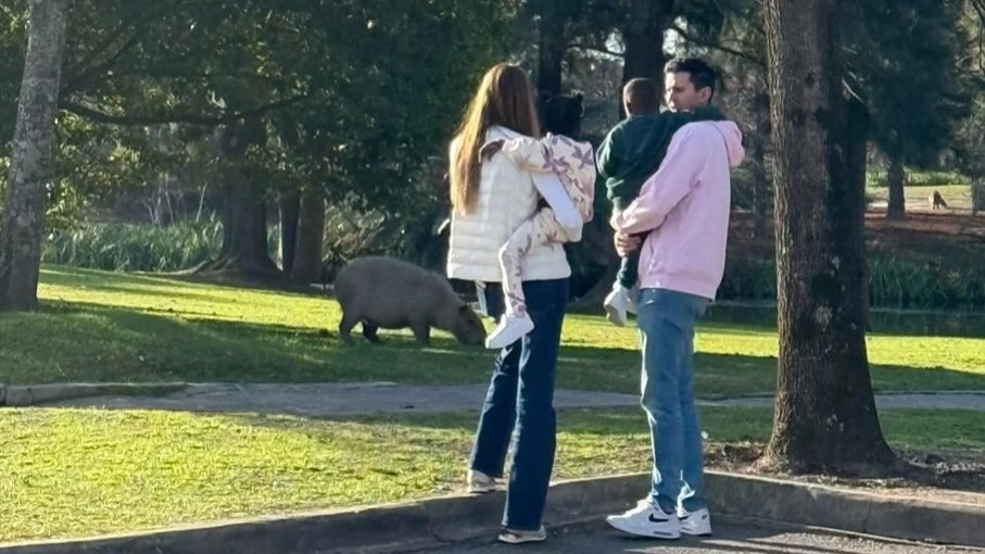 La nueva familia de Chela con Verónica y los hermanos haitianos. Foto: @juanichela