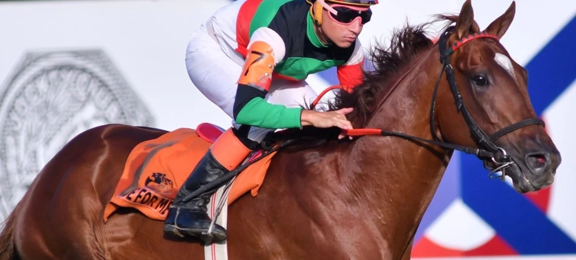 Foto:Archivo Hipódromo San Isidro. El caballo de 5 años, Intense for Me, es la atracción de la programación del fin de semana hípico en Riyadh