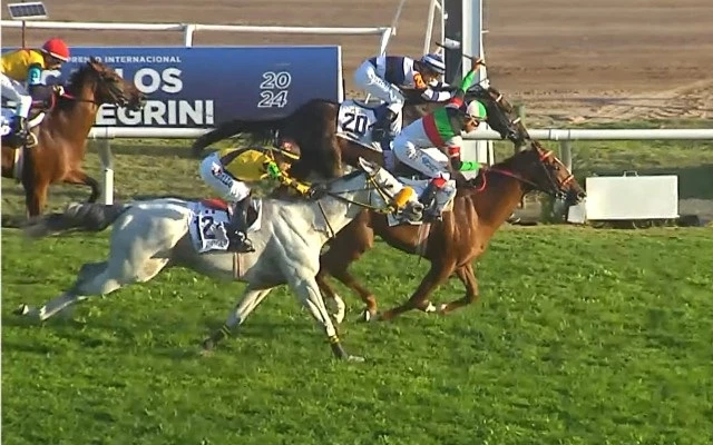 Foto: Archivo. Intense for Me resultó el último ganador en el Carlos Pellegrini (G1)